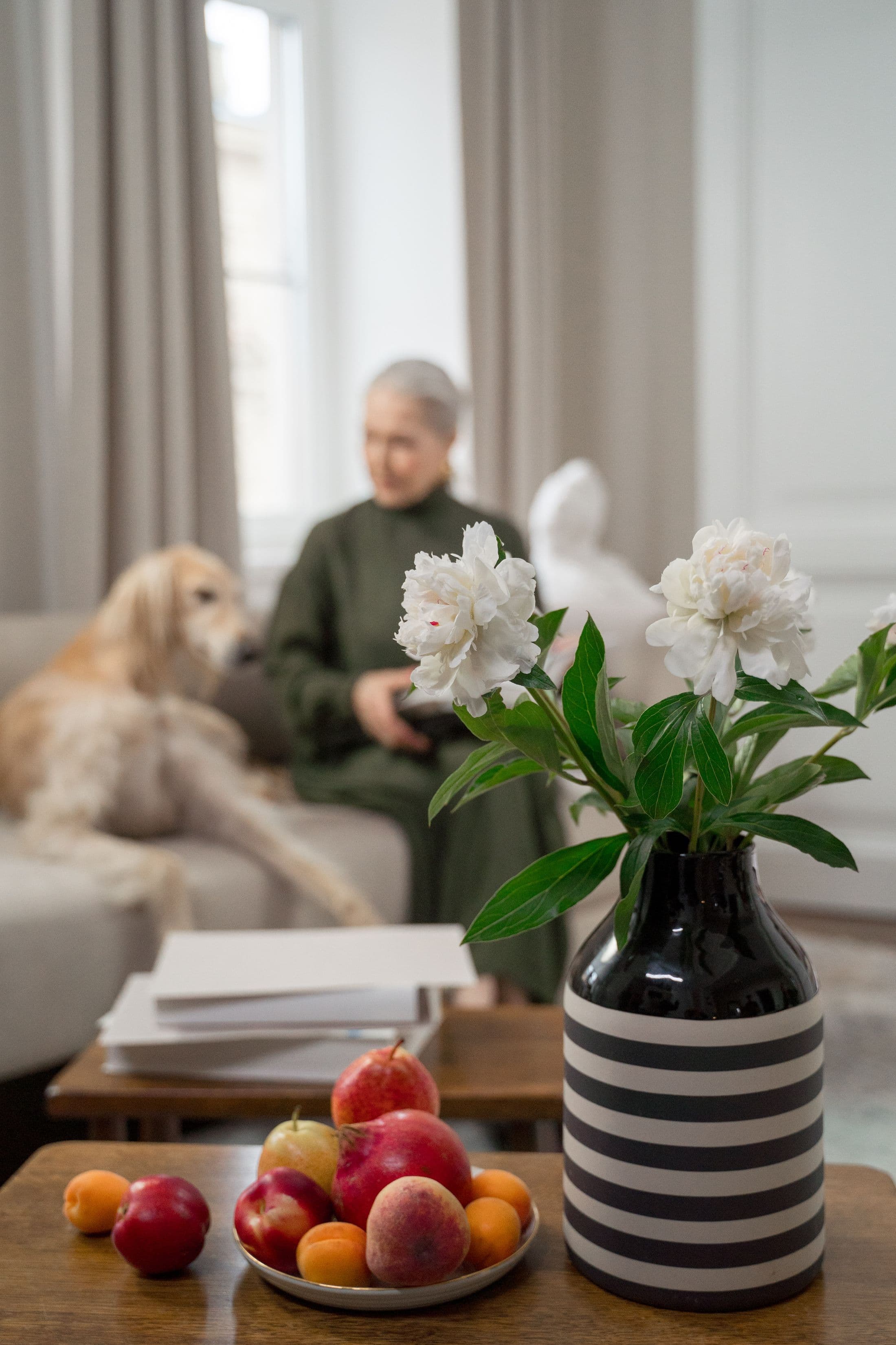A pet and an older owner sharing a calm home