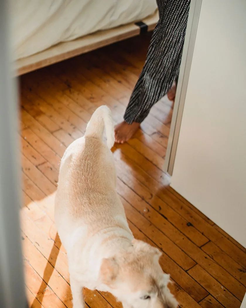 A pet and owner sharing a quiet moment at home